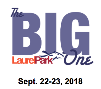 The BIG One 2018 logo and date